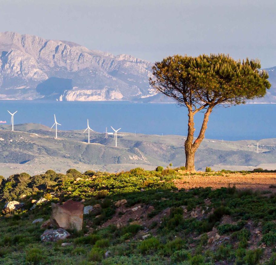 actividades que hacer en tarifa